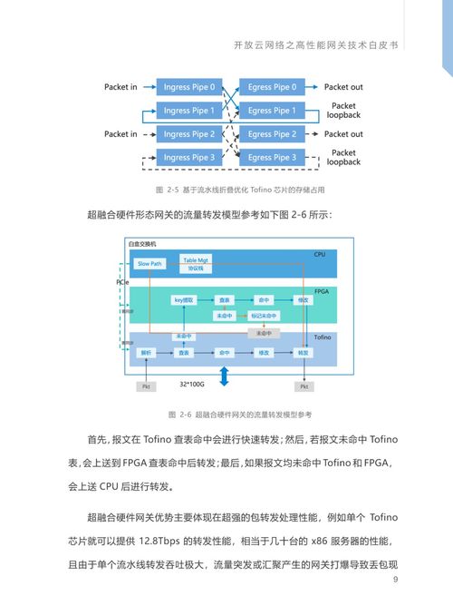 開放云網(wǎng)絡之高性能網(wǎng)關技術白皮書