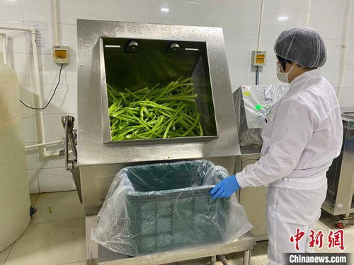 河北淶水土貨“統(tǒng)購統(tǒng)銷”進(jìn)京生金，清潔服務(wù)煥新鄉(xiāng)村經(jīng)濟(jì)