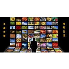 網絡搜索如何吸引消費者 解密中秘傳媒的策略