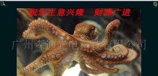 供應(yīng)供森迪觸摸廣告機 重塑樓宇賣場電梯場景的全新媒體終端